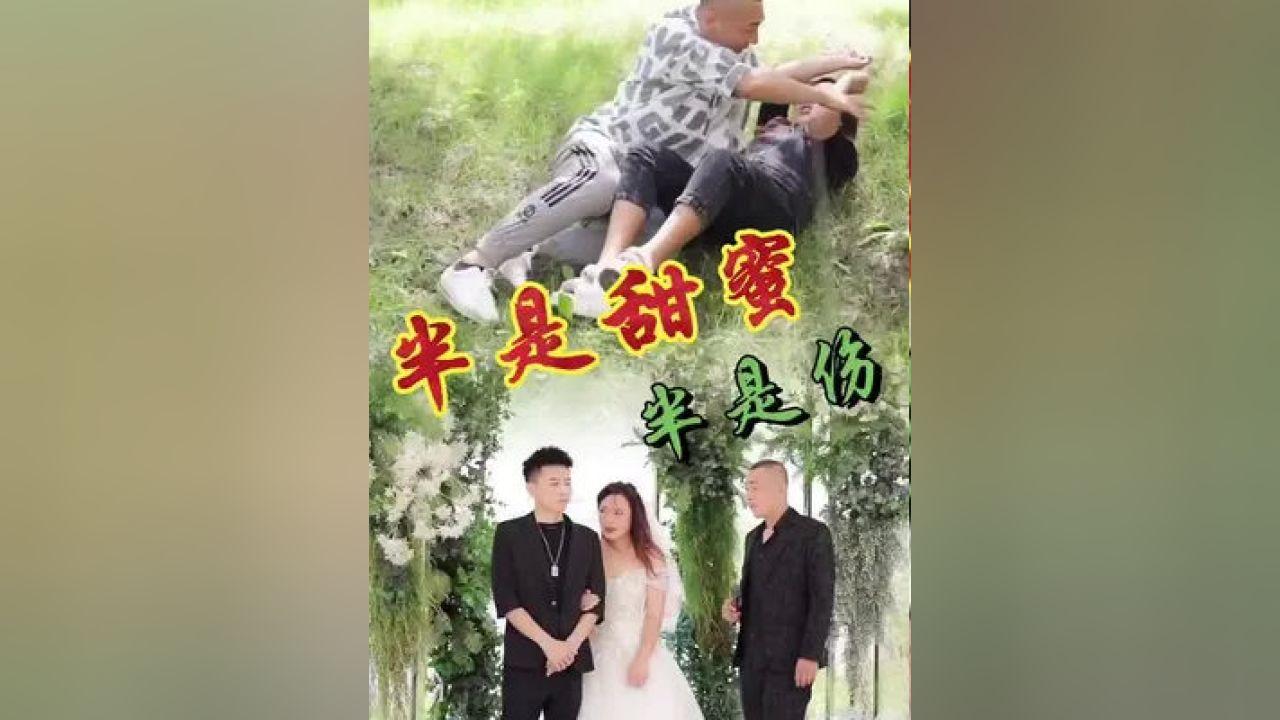射击红色鸟